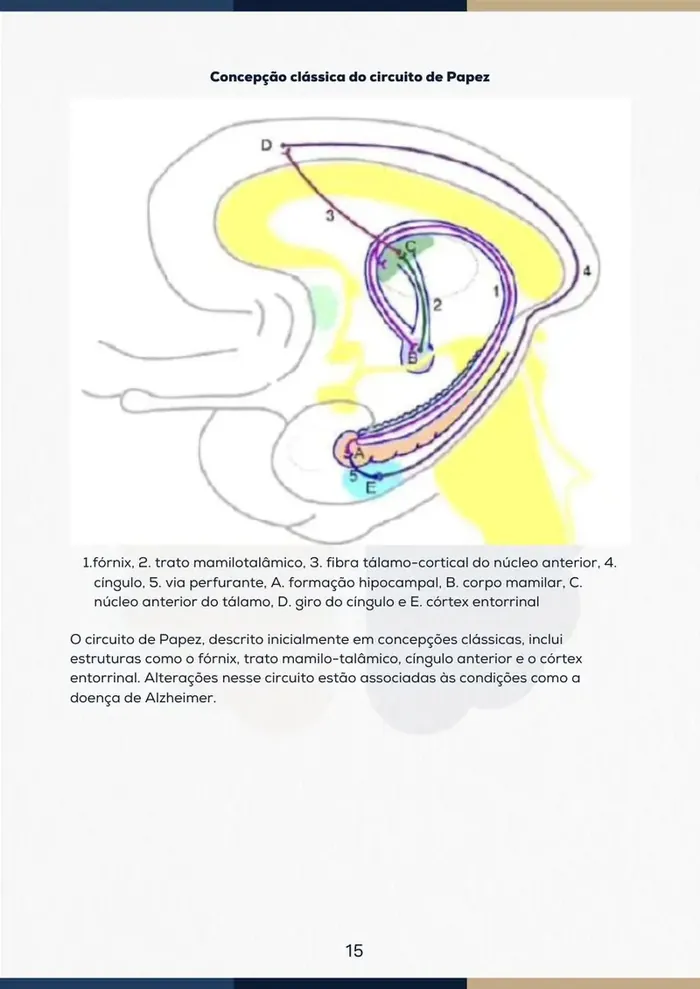 Página 7 do ebook